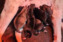 WhatsApp-Bild-2024-05-31-um-16.51.56_293cf46e