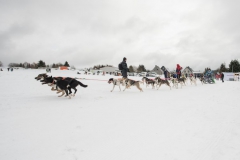 TT-2019-12-RR-2019-02-12_01